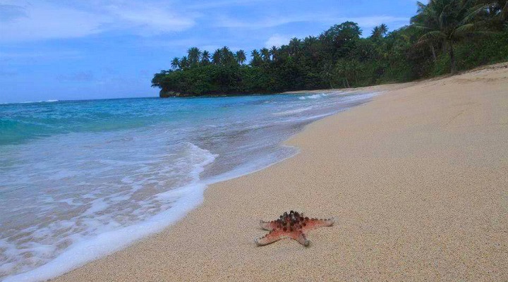 Pinamuntugan 2.jpg.crdownload Pinamuntugan Beach