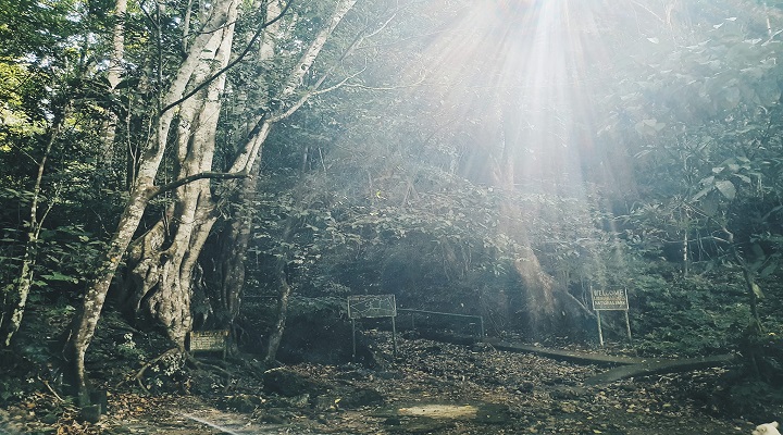 Processed with VSCO with hb2 preset Libmanan Caves National Park