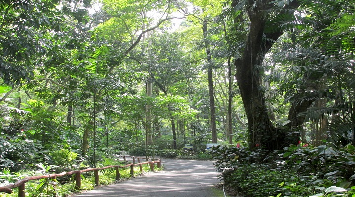 12 Naga City Ecology Park