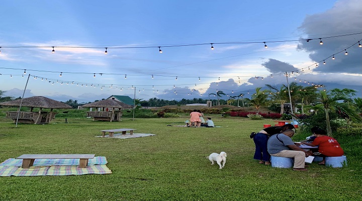 6 Sambo's Farm