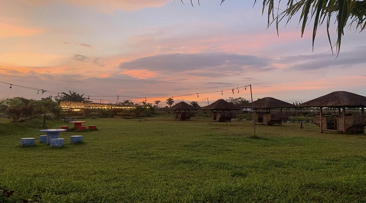 7 Sambo's Farm